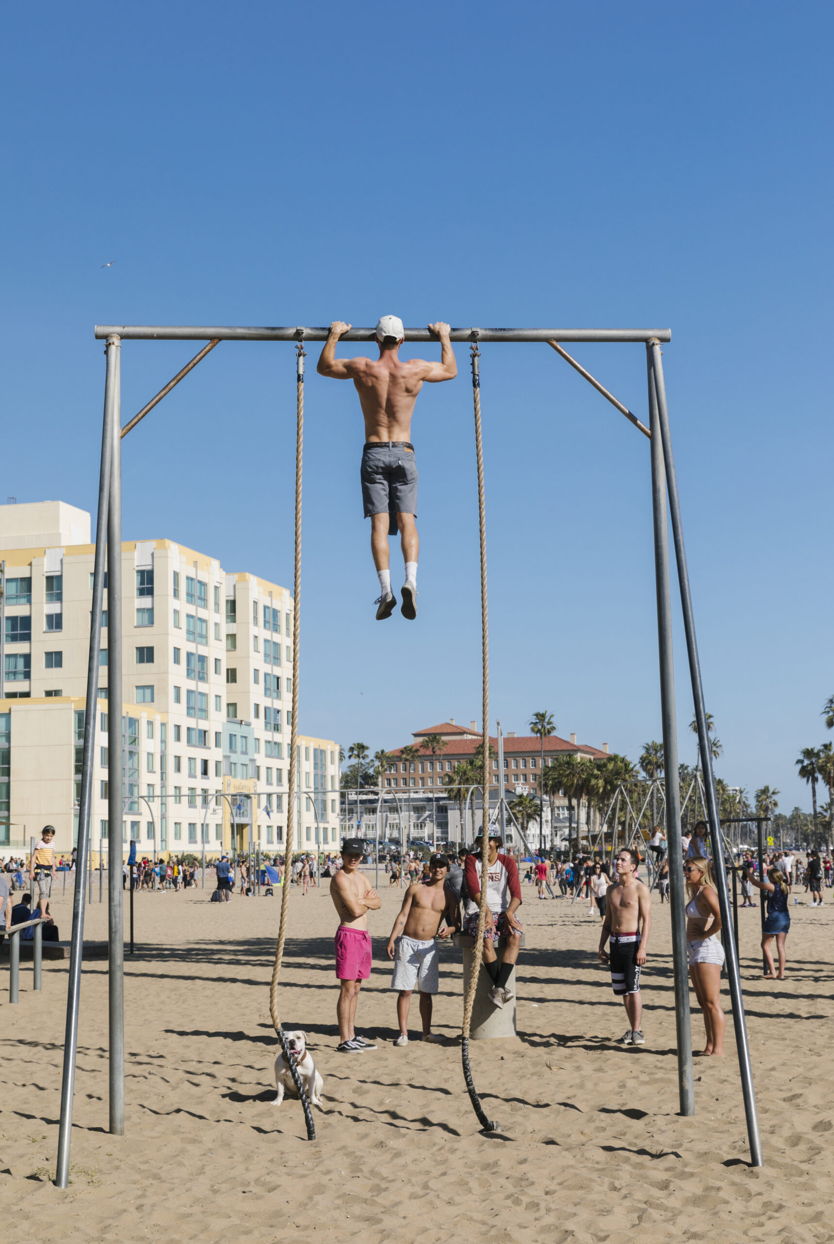 The Original Muscle Beach Santa Monica Muscle Beach California 3982