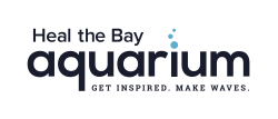 Heal the Bay Aquarium Science Camp - Heal the Bay